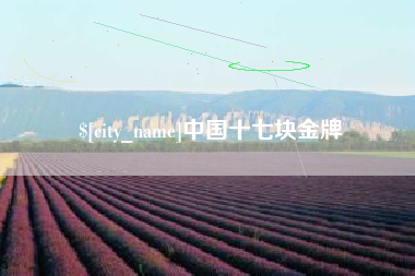 金华中国十七块金牌