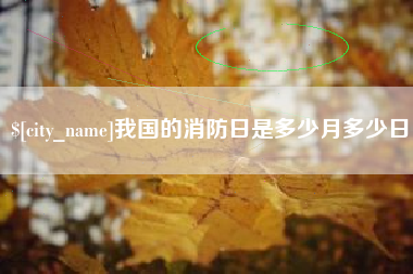 金华我国的消防日是多少月多少日