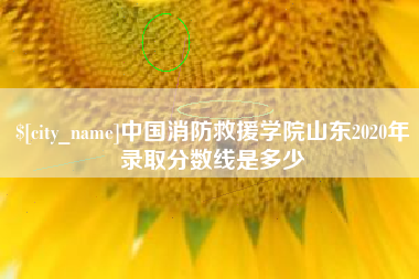 金华中国消防救援学院山东2020年录取分数线是多少