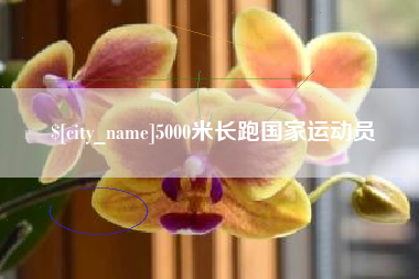 金华5000米长跑国家运动员