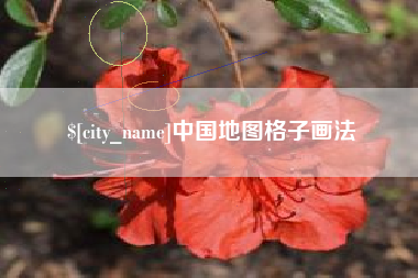 金华中国地图格子画法