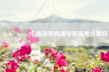金华中国消防救援学院高考分数线
