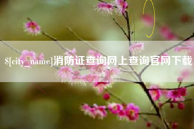 金华消防证查询网上查询官网下载