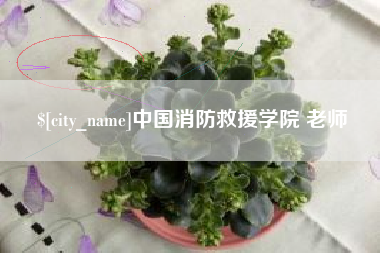 金华中国消防救援学院 老师
