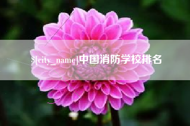 金华中国消防学校排名