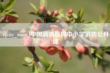 金华中国消防官网中小学消防公开课