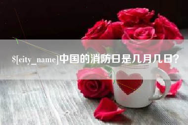金华中国的消防日是几月几日？