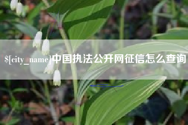 金华中国执法公开网征信怎么查询