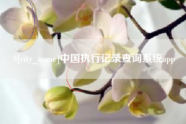 金华中国执行记录查询系统app