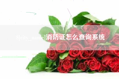 金华消防证怎么查询系统