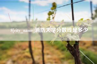 金华消防大学分数线是多少