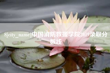金华中国消防救援学院2019录取分数线