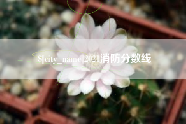 金华2021消防分数线