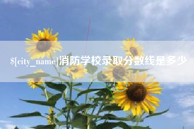 金华消防学校录取分数线是多少