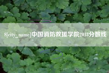 金华中国消防救援学院2018分数线