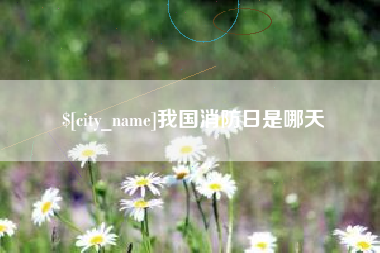 金华我国消防日是哪天