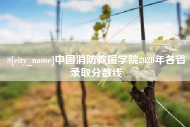 金华中国消防救援学院2020年各省录取分数线