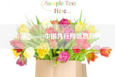 金华中国执行网信息官网