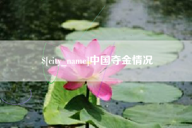 金华中国夺金情况