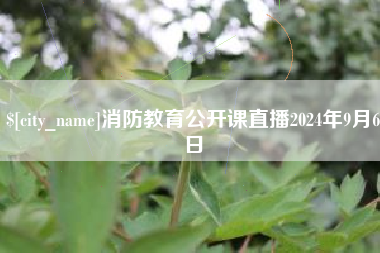 金华消防教育公开课直播2024年9月6日