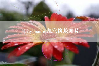 金华九宫格龙图片