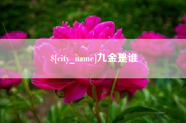 金华九金是谁