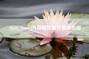 金华九宫格位置代表成员图