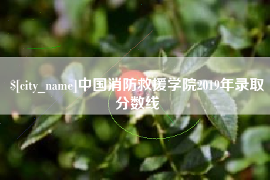 金华中国消防救援学院2019年录取分数线