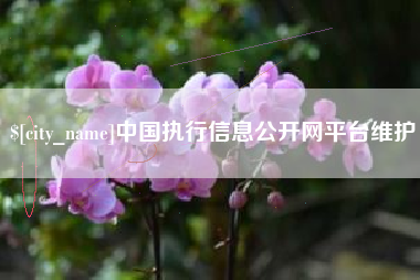 金华中国执行信息公开网平台维护