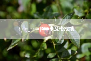 金华5000米及格成绩