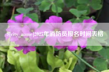 金华2025年消防员报名时间表格