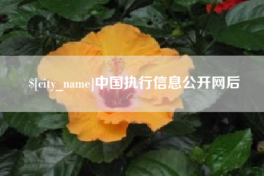 金华中国执行信息公开网后
