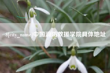金华中国消防救援学院具体地址