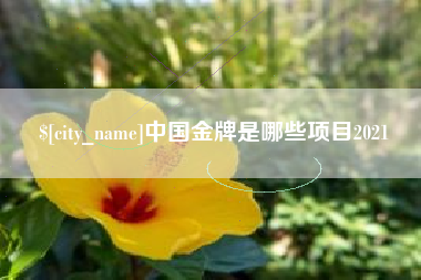 金华中国金牌是哪些项目2021