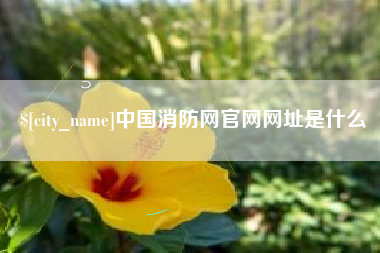 金华中国消防网官网网址是什么