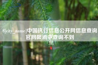 金华中国执行信息公开网信息查询官网限消中查询不到