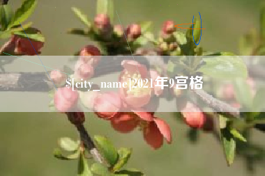 金华2021年9宫格