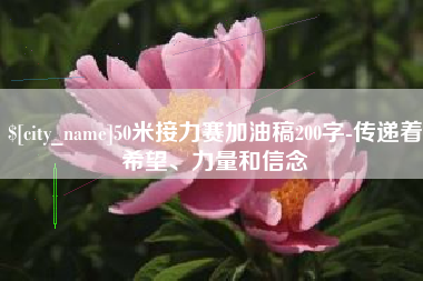 金华50米接力赛加油稿200字-传递着希望、力量和信念
