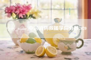 金华中国消防救援学院分数2020