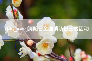 金华消防日全国消防日主题活动