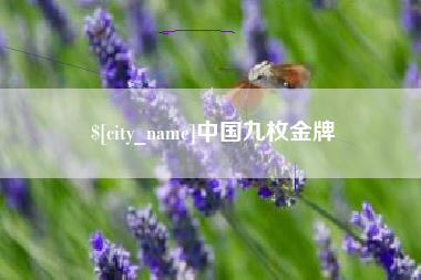 金华中国九枚金牌