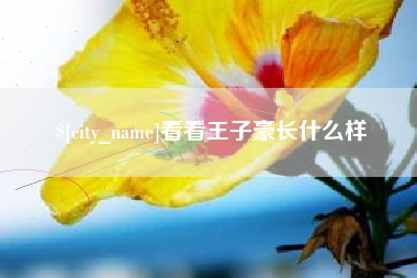 金华看看王子豪长什么样
