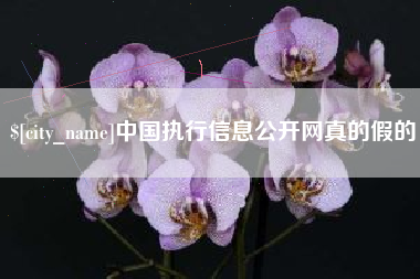 金华中国执行信息公开网真的假的