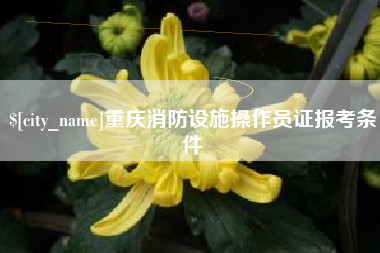 金华重庆消防设施操作员证报考条件