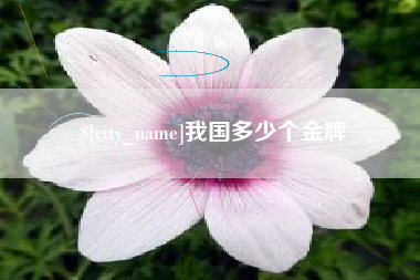 金华我国多少个金牌