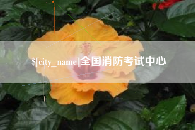 金华全国消防考试中心