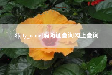 金华消防证查询网上查询