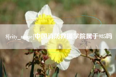 金华中国消防救援学院属于985吗