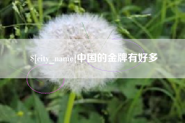 金华中国的金牌有好多