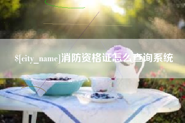 金华消防资格证怎么查询系统